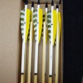 Stock Arrows: 65-70# Box 32 (dozen)