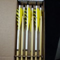 Stock Arrows: 55-60# Box 19 (dozen)