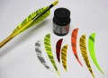 Barred Feather Paint
