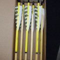 Stock Arrows: 65-70# Box 31 (dozen)